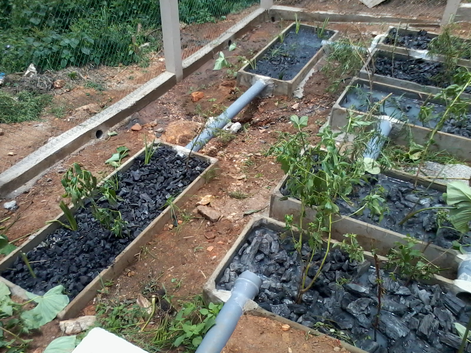 Ashesi Project